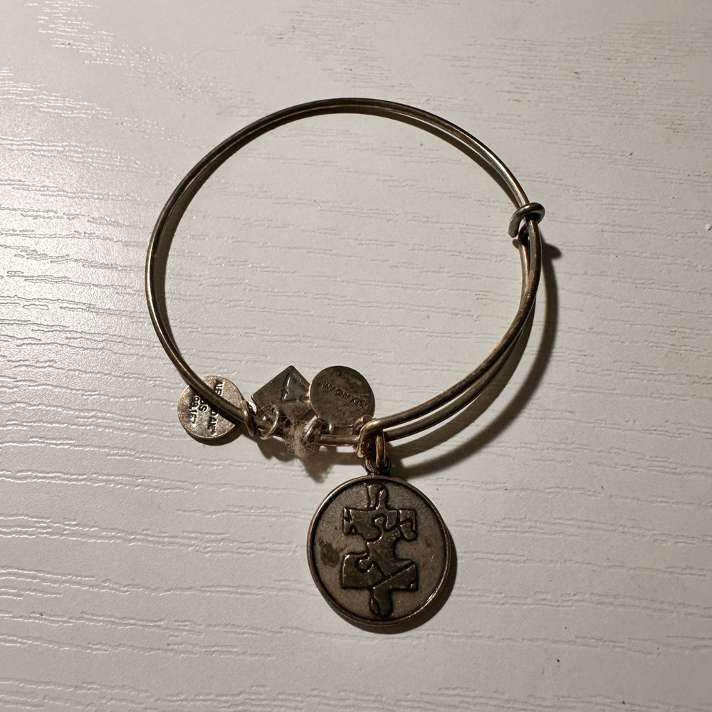 Alex and ani bracelet-autism awareness